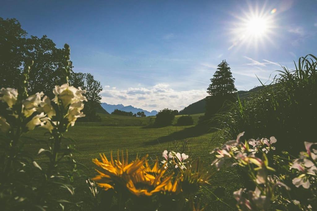 Fritzis Alpenidyll „Sommertraum & Winterromantik” Samerberg Exterior foto