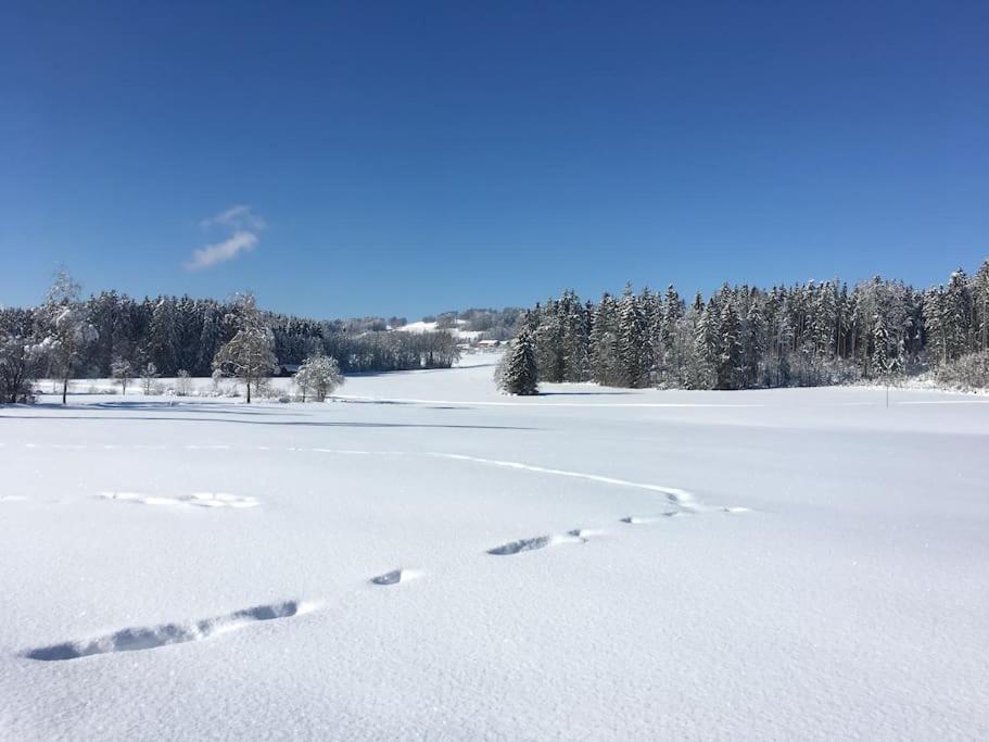 Fritzis Alpenidyll „Sommertraum & Winterromantik” Samerberg Exterior foto